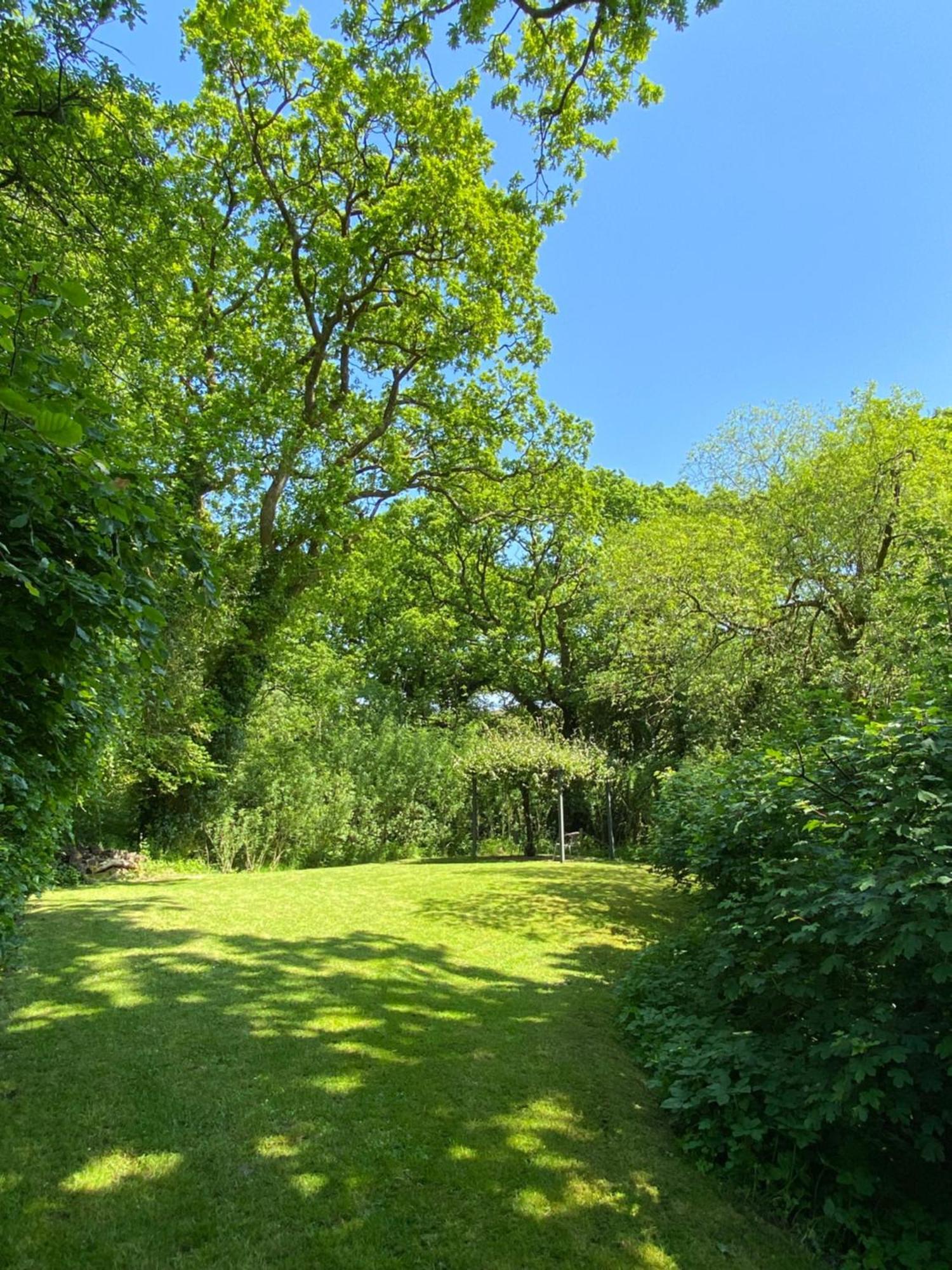 Petrock Holiday Cottages Newton Saint Petrock Rom bilde