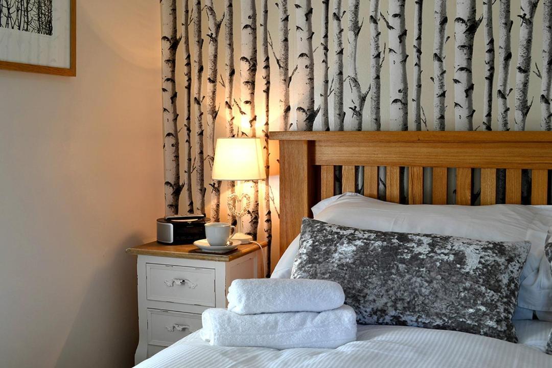 Petrock Holiday Cottages Newton Saint Petrock Eksteriør bilde